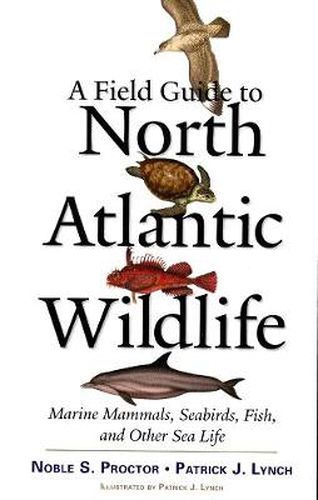 Cover image for A Field Guide to North Atlantic Wildlife: Marine Mammals, Seabirds, Fish, and Other Sea Life