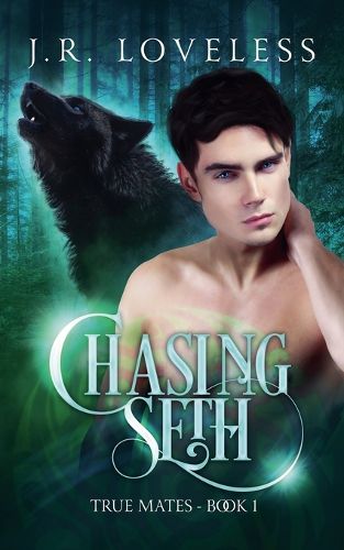 Cover image for Chasing Seth