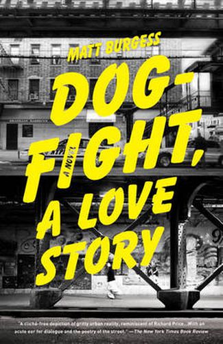 Cover image for Dogfight, a Love Story