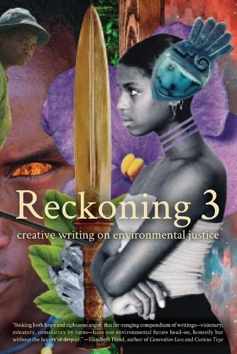 Cover image for Reckoning 3