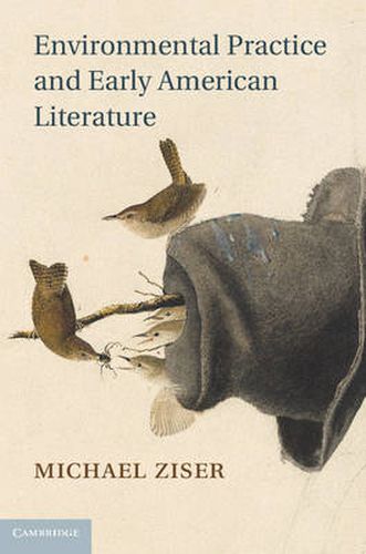 Cover image for Environmental Practice and Early American Literature