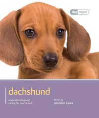 Cover image for Dachshund - Dog Expert