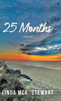 Cover image for 25 Months