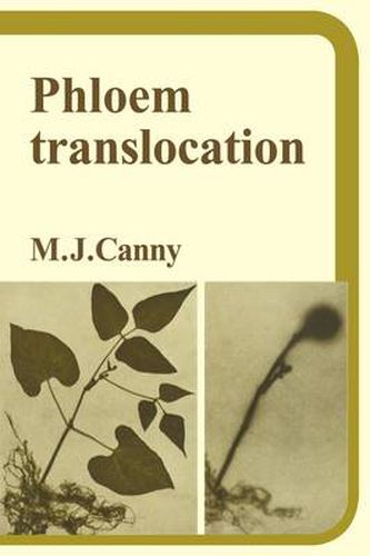 Cover image for Phloem Translocation