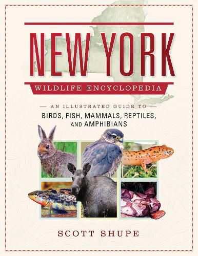 New York Wildlife Encyclopedia: An Illustrated Guide to Birds, Fish, Mammals, Reptiles, and Amphibians