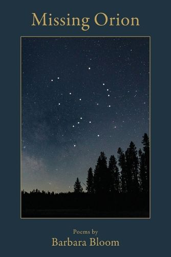 Cover image for Missing Orion