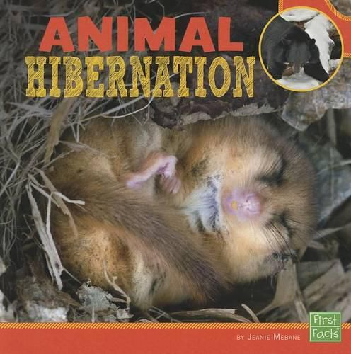 Cover image for Animal Hibernation (Learn About Animal Behavior)