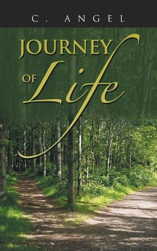 Cover image for Journey of Life