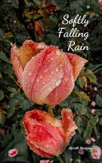 Cover image for Softly Falling Rain