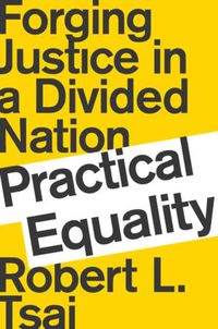 Cover image for Practical Equality: Forging Justice in a Divided Nation