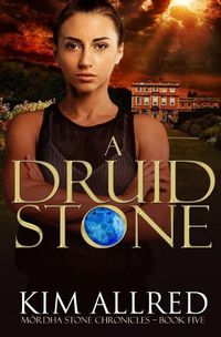 Cover image for A Druid Stone: A Time Travel Romance Adventure