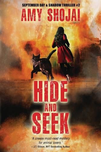 Cover image for Hide And Seek