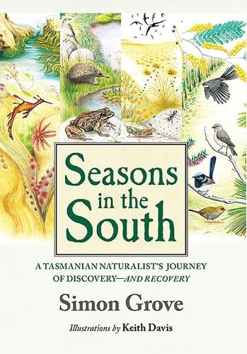 Cover image for Seasons in the South