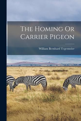 Cover image for The Homing Or Carrier Pigeon