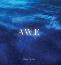 Cover image for Awe