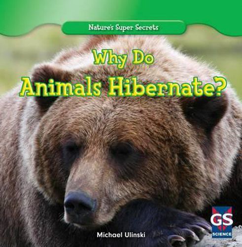 Cover image for Why Do Animals Hibernate?