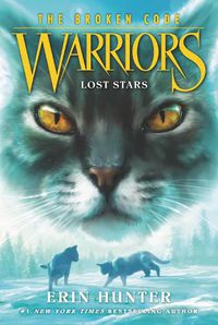 Cover image for Warriors: The Broken Code #1: Lost Stars