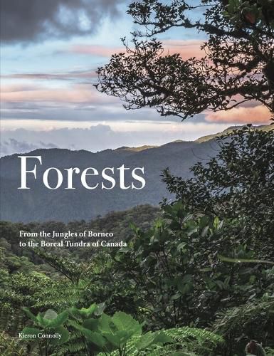 Cover image for Forests