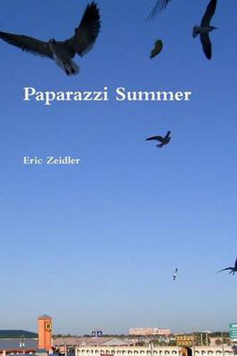 Cover image for Paparazzi Summer