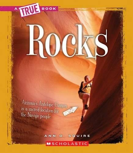 Cover image for Rocks