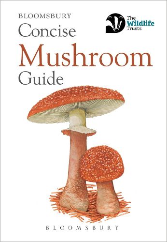 Cover image for Concise Mushroom Guide