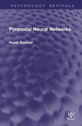 Cover image for Pyramidal Neural Networks
