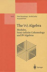 Cover image for The W3 Algebra: Modules, Semi-infinite Cohomology and BV Algebras