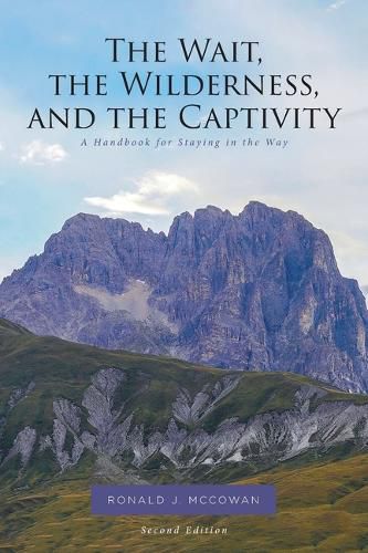 Cover image for The Wait, the Wilderness, and the Captivity: A Handbook for Staying in the Way