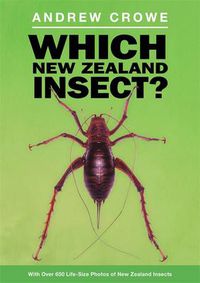Cover image for Which New Zealand Insect?