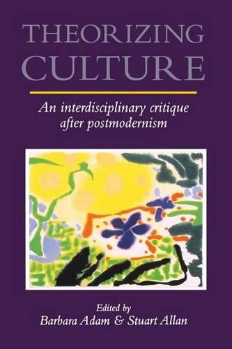 Cover image for Theorizing Culture: An Interdisciplinary Critique After Postmodernism