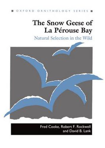 Cover image for The Snow Geese of La Perouse Bay: Natural Selection in the Wild