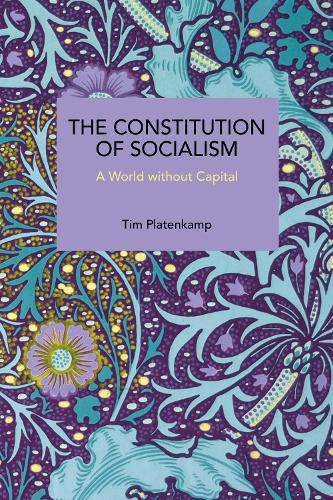 Cover image for The Constitution of Socialism