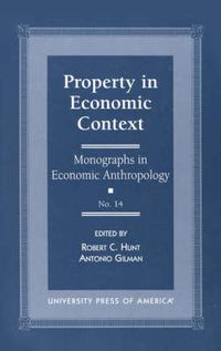 Cover image for Property in Economic Context