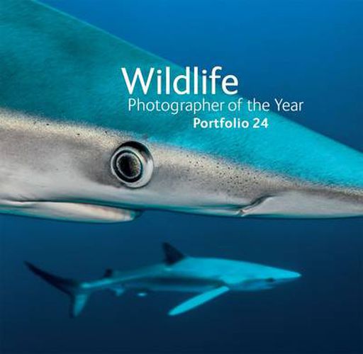 Cover image for Wildlife Photographer of the Year: Portfolio 24