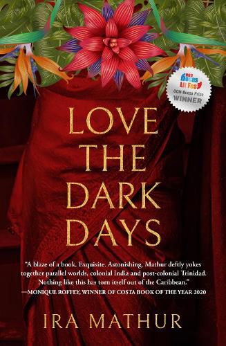 Cover image for Love the Dark Days