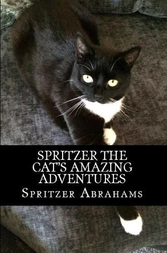 Cover image for Spritzer The Cat's Amazing Adventures