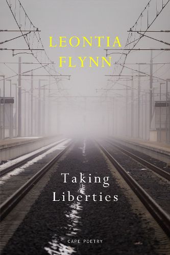 Cover image for Taking Liberties