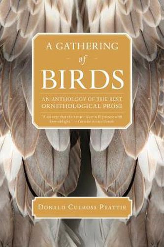 Cover image for A Gathering of Birds: An Anthology of the Best Ornithological Prose