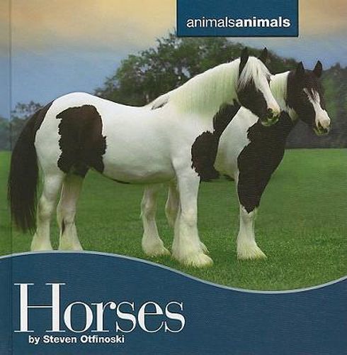 Cover image for Horses