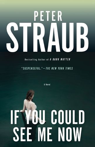 Cover image for If You Could See Me Now