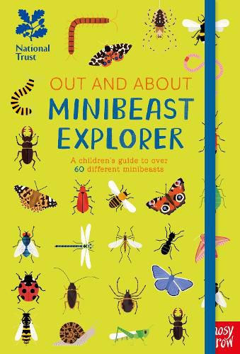 Cover image for National Trust: Out and About Minibeast Explorer: A children's guide to over 60 different minibeasts