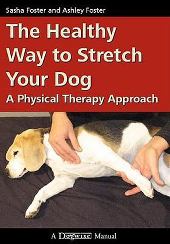 Cover image for The Healthy Way to Stretch Your Dog: A Physical Therapy Approach