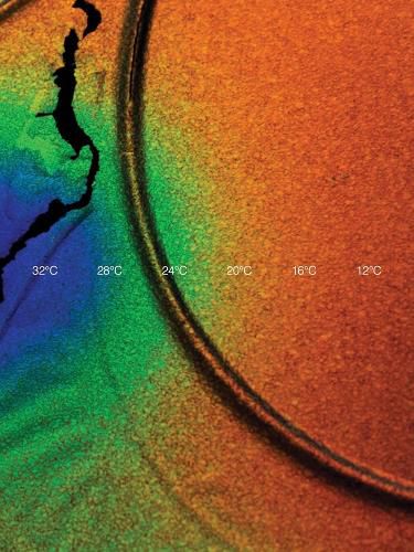 Cover image for Cooper Jacoby - How do I survive?