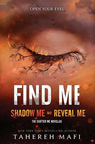 Cover image for Find Me