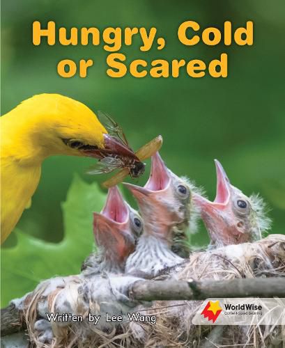 Cover image for Hungry, Cold or Scared