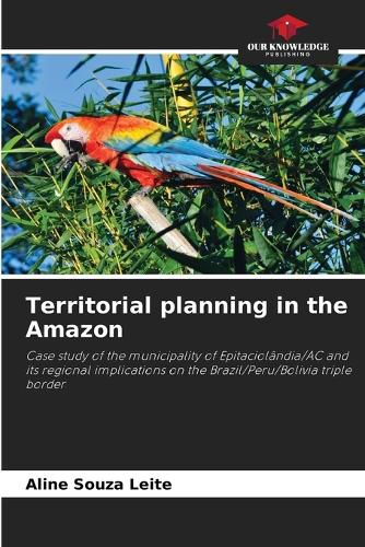 Cover image for Territorial planning in the Amazon