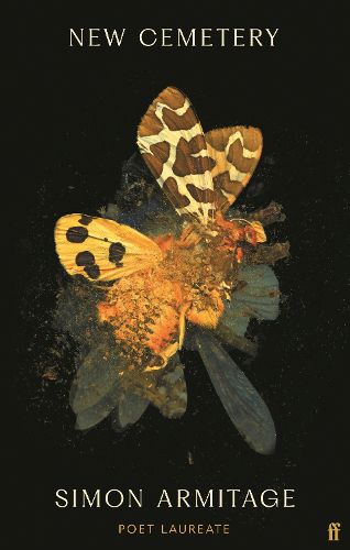 Cover image for New Cemetery