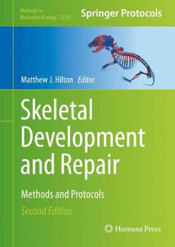 Cover image for Skeletal Development and Repair: Methods and Protocols