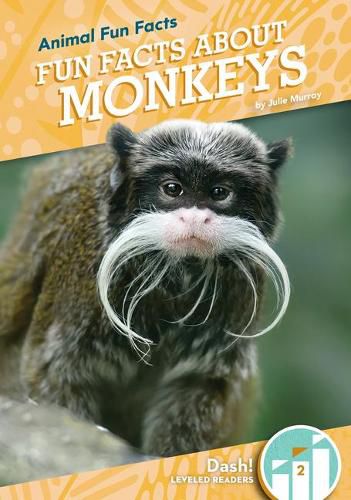 Cover image for Fun Facts about Monkeys