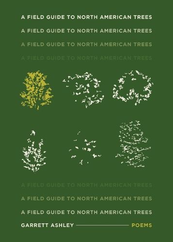 Cover image for A Field Guide to North American Trees